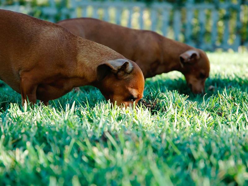 sudoku space theme screenshot 6